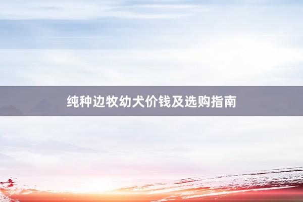纯种边牧幼犬价钱及选购指南