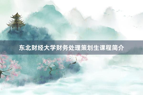 东北财经大学财务处理策划生课程简介